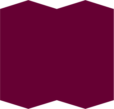 SS01